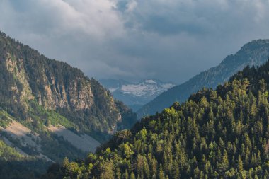 Yaz boyunca büyük ve güzel Pireneler