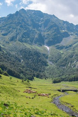 Yaz boyunca büyük ve güzel Pireneler