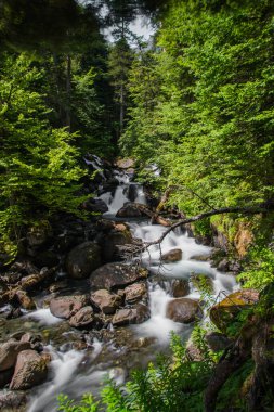 Val d 'Aran, Pyrenees' deki dağların ortasında büyük bir şelaleye uzun süre maruz kalmışlar.