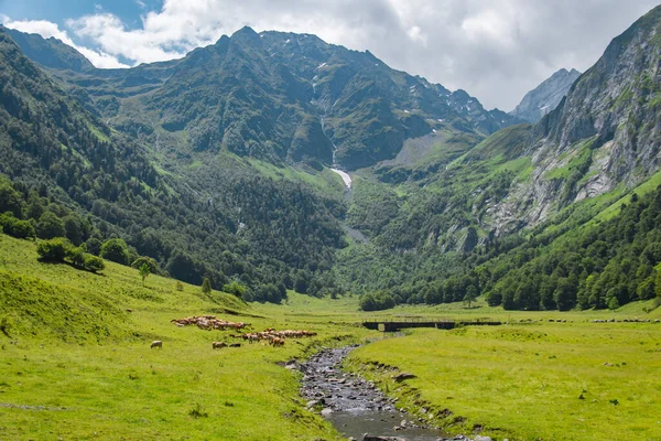 Paysage Immense Magnifique Des Pyrénées Pendant Été — Photo