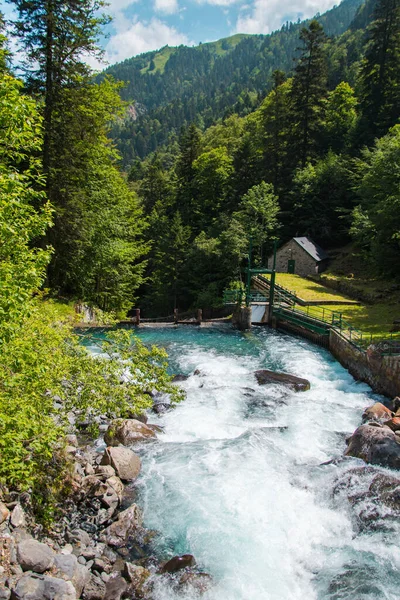 Turkuaz nehri yeşil yaz pirenelerinde akıyor.