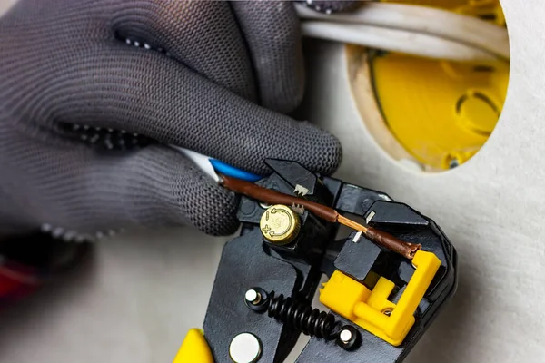 Avlägsnande av elektrisk tråd isolering med en strippa. Händerna i gråa handskar håller en elektrisk tråd. — Stockfoto