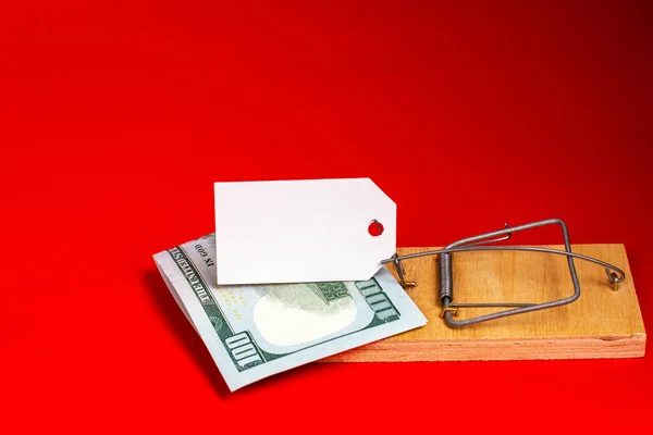 Pengar och ett vitt papper ligger i en musfälla. Röd bakgrund. Risk, finansiell försäkring. Ort för text — Stockfoto