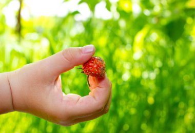 Çocukların elinde çilek tutuyorlarmış. Çilek topluyorum. Çocuklar gün ışığına çıkar..