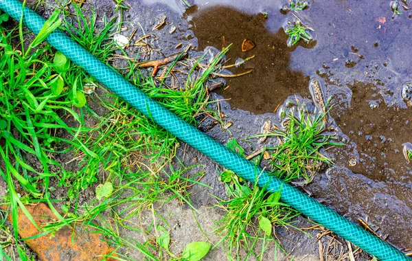 Tubo per innaffiare. Lavori in giardino. Giardino irrigazione tubo. — Foto Stock