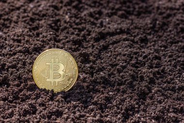 Bitcoin altın para. BTC kripto para birimi. Engelleme teknolojisi.