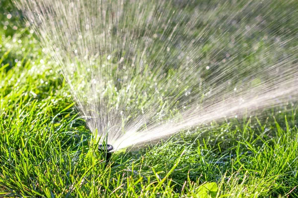 Automatic watering of the lawn. Spraying water on the grass. Watering systems. Water supply nozzle. Royalty Free Stock Images