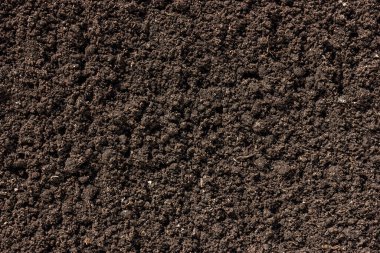 Black earth texture. Loose ground close-up. Plowed soil clipart