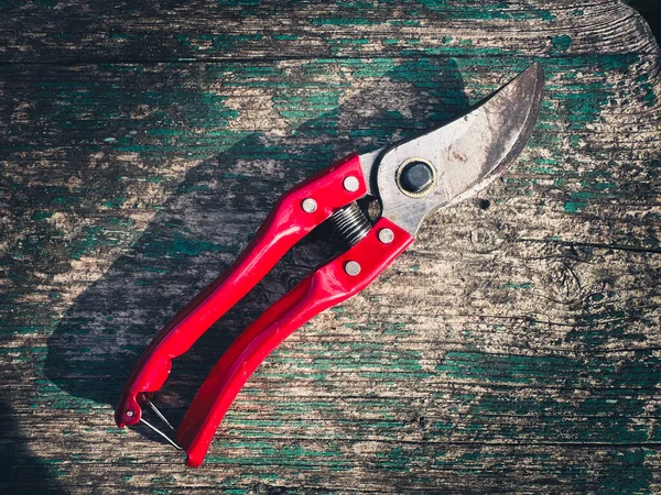 Kırsal budama makası, aşınmış ahşap yüzeyde kırmızı saplı. Yaratıcı ya da profesyonel projeler için harika