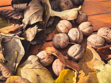 Tahta yüzeydeki kurumuş yaprakların arasına saçılmış cevizler. Yaratıcı ve ticari projeler için mükemmel.