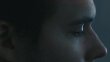 Utahraptor dinosaurio