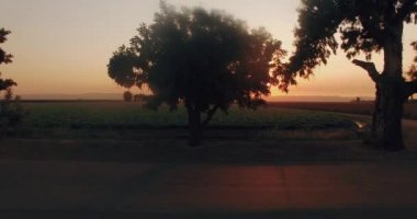 Ekim alanı güzel arial görünümü