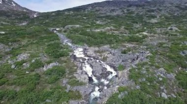 Alaska'da dağ nehir