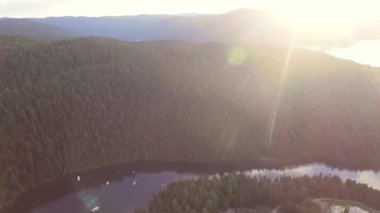 Alaska'da dağ nehir