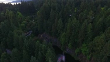 Alaska'da güzel Bahçe