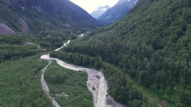 Горная река Аляски — стоковое видео