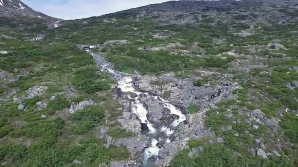 Horská řeka na Aljašce — Stock video