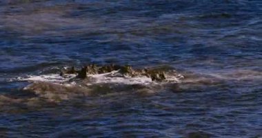 Calasetta, Sardunya 'da Kayalıklarda Deniz