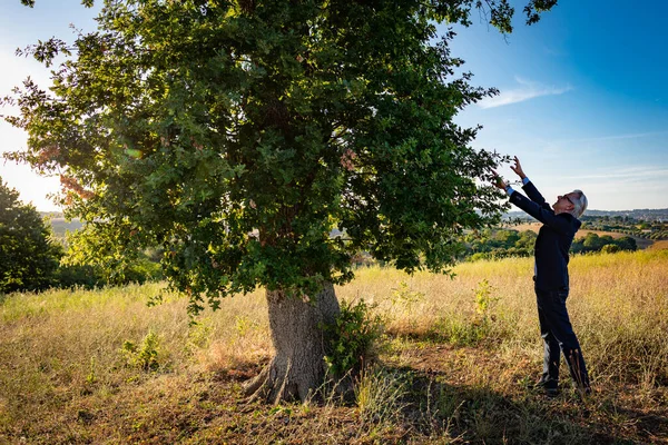 Botanico Anziano Che Tocca Foglie Dell Albero Magico — Foto Stock