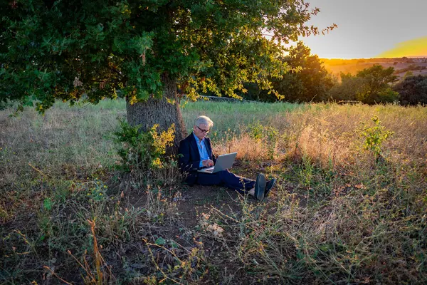 Uomo Affari Anziano Con Computer Portatile Che Lavora Sotto Albero — Foto Stock