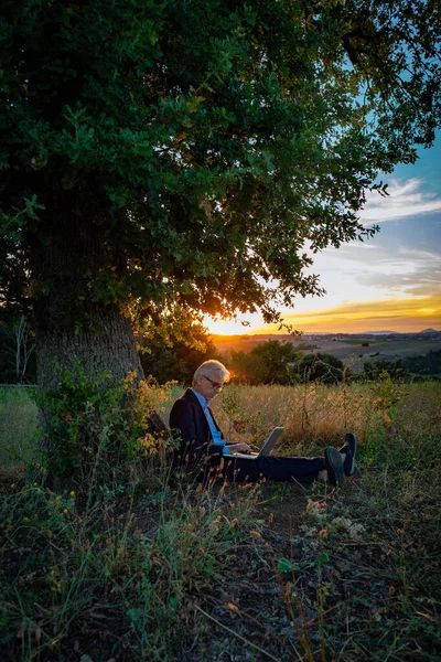 Sunset 'te sihirli ağacın altında dizüstü bilgisayarlı kıdemli iş adamı çalışıyor.