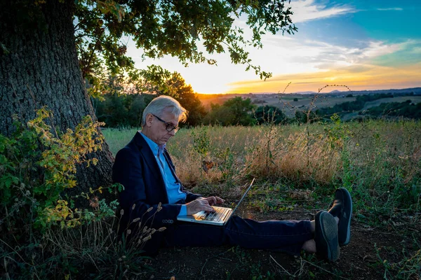 Sunset 'te sihirli ağacın altında dizüstü bilgisayarlı kıdemli iş adamı çalışıyor.