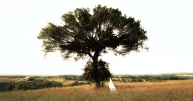 Sihirli ağacın yanında Beyaz Giyinik Genç Kız