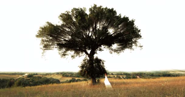 Young Girl Dressed White Walking Magic Tree — Stock Video