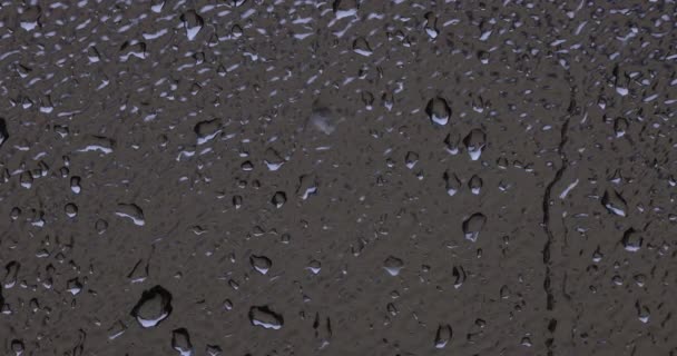 Primer Plano Gotas Lluvia Goteando Sobre Cristal Ventana Durante Una — Vídeos de Stock