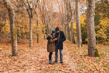 Doğada bir çift beyaz erkek ve kadın sonbaharda seyyar seyyar seyyar gezerler.