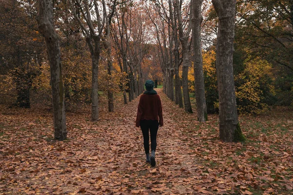 Λευκή Γυναίκα Περπατά Μόνη Της Στο Πάρκο Φθινόπωρο Φορώντας Μάλλινο — Φωτογραφία Αρχείου