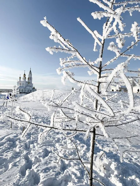 Albero Nella Neve Sulla Montagna Sullo Sfondo Una Chiesa Paesaggio — Foto Stock
