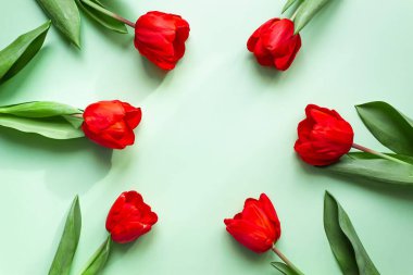 Tebrik kartı için düz konsept. Parlak kırmızı laleler yuvarlak bir çerçeve içinde kıvrılmış yeşil bir zemin üzerinde metnin için bir yer ile.