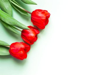 Açık yeşil zemin üzerinde kırmızı laleler olan tebrik kartı, metin için yer.