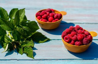 Yaz yaşam tarzı, öğlen atıştırması taklidi, ahşap arka planda olgun ahududular. Yatay fotoğraf, seçici odak.