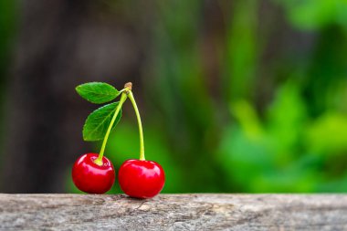 Yazın doğal arka plan, ahşap zemin üzerinde iki olgun kiraz dalı fotokopi alanı, yatay fotoğraf.