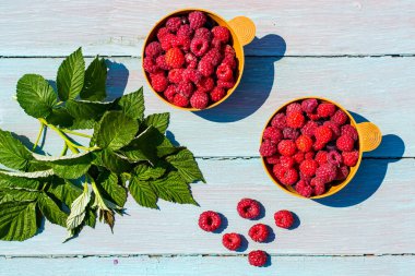 Yaz kahvaltısı olgun ahududu fincanda mavi ahşap arka planda kırsal tarzda, yatay fotoğraf.