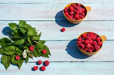 Parlak yaz konsepti, doğada kırsal tarzda kahvaltı. Mavi ahşap arka planda, bir fincanda olgun ahududular. Yatay fotoğraf.