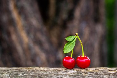 İki kiraz çileği koparılmış ve ahşap bir arka planda duruyor, kopyalama alanı, yatay fotoğraf.