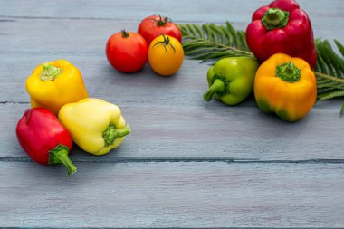 Taze organik ürün hasadı, dolma biber kırmızı, sarı ve yeşil domatesler mavi ahşap arka planda, yazı için yer.