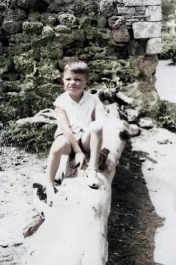 Eski bir taş duvarın yanında, kütüğün üzerinde oturan bir çocuğun klasik portresi. 1965 'ten kalma eski bir fotoğraf..