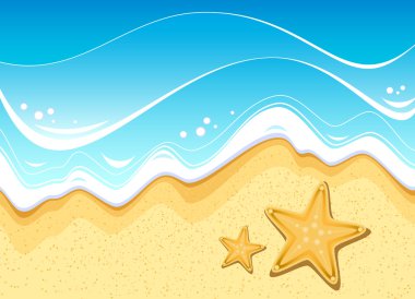 Sahilde denizyıldızı