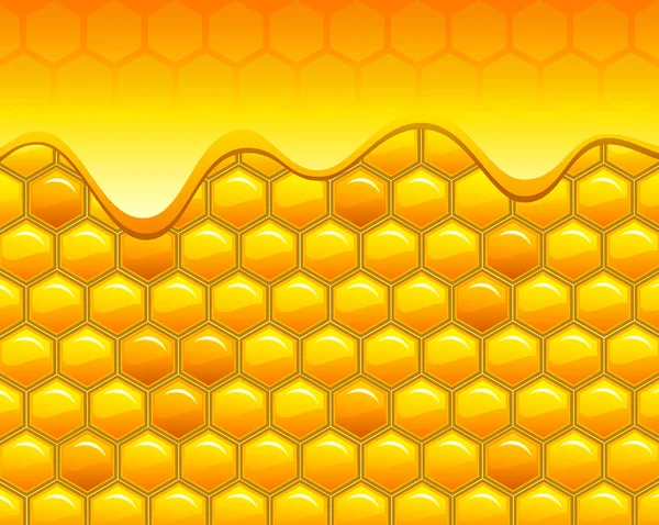 Honungskakor med honung — Stock vektor