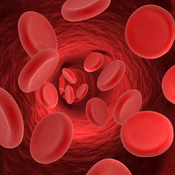 Red blood cells in a vein. Medical theme. 3D render