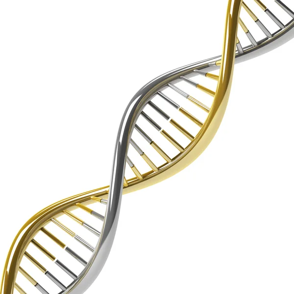 DNA molecule — Stock Photo, Image