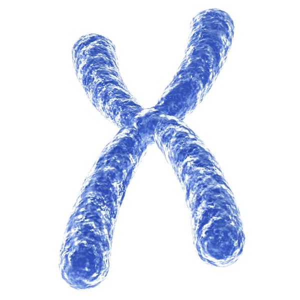 Chromosome — Stock Photo, Image