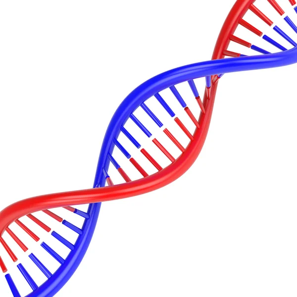 DNA molecule — Stock Photo, Image