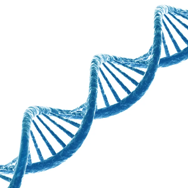 DNA molecule — Stock Photo, Image