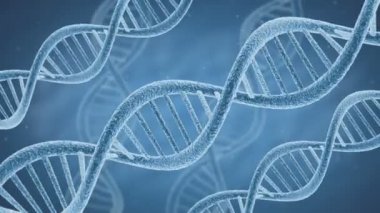 DNA Helix