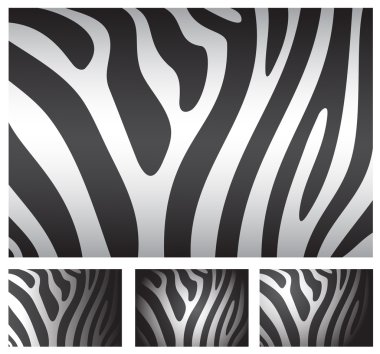 Zebra deri arka planlar